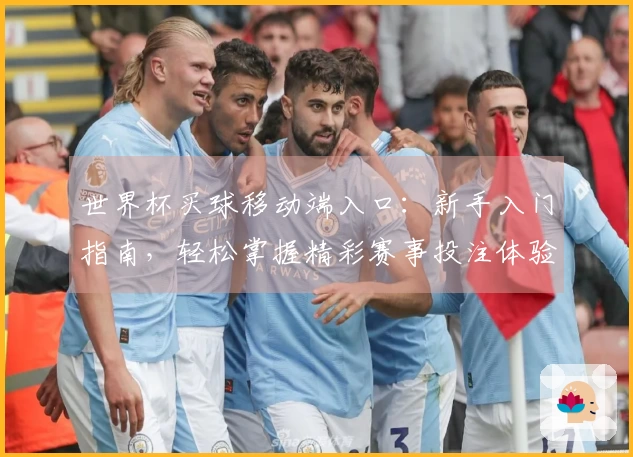 世界杯买球移动端入口：新手入门指南，轻松掌握精彩赛事投注体验