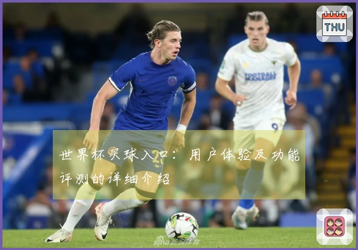 世界杯买球入口：用户体验及功能评测的详细介绍