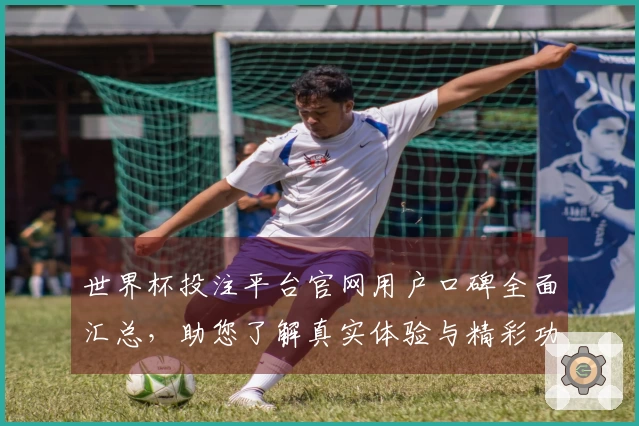 世界杯投注平台官网用户口碑全面汇总，助您了解真实体验与精彩功能
