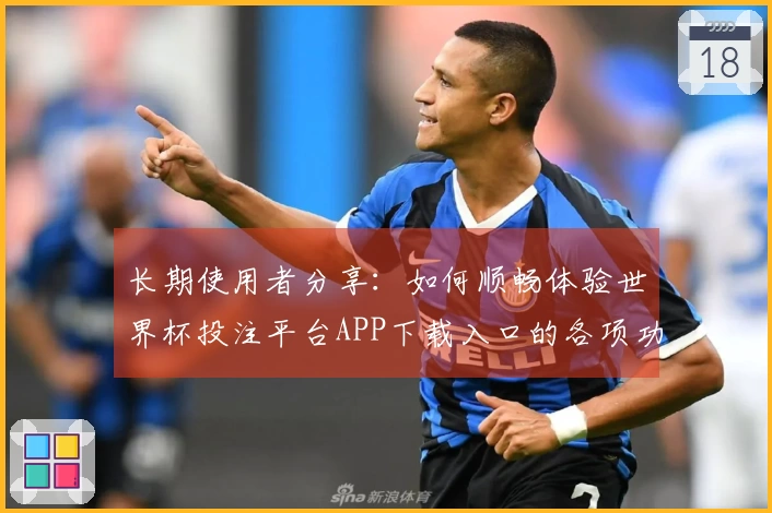 长期使用者分享：如何顺畅体验世界杯投注平台APP下载入口的各项功能和服务